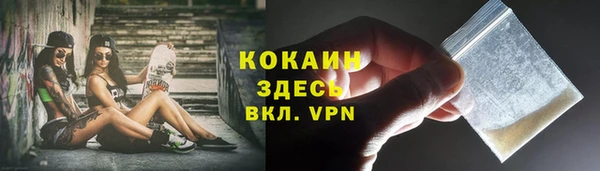 прущий лед Алзамай