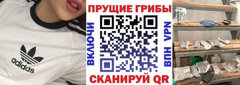 mega онион  Ахтырский  Галлюциногенные грибы Cubensis 